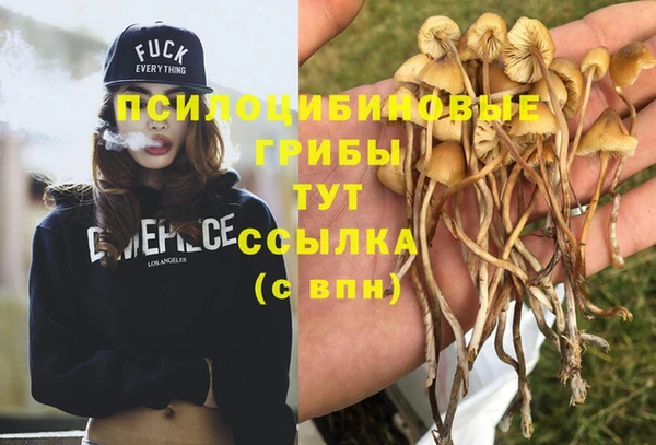 СК Ладушкин