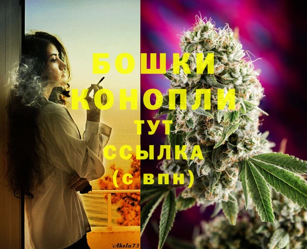 СК Ладушкин
