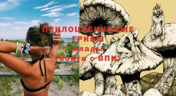 СК Ладушкин