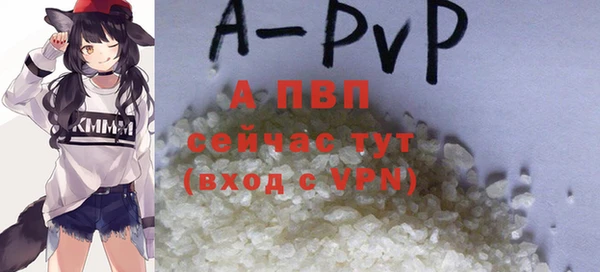 СК Ладушкин