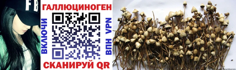 Галлюциногенные грибы прущие грибы  Мелеуз 