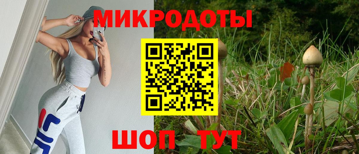 Галлюциногенные грибы Psilocybine cubensis Мелеуз