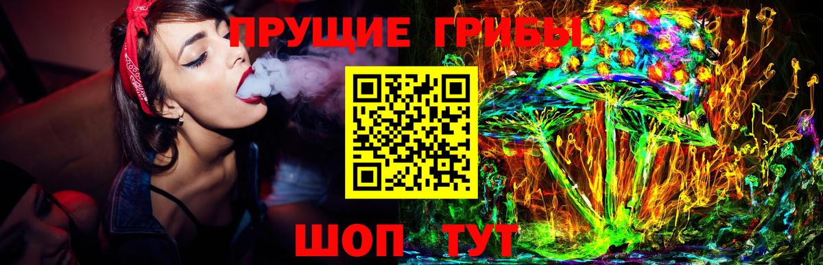 купить наркотики сайты  Вход с VPN  Мелеуз  Псилоцибиновые грибы прущие грибы 